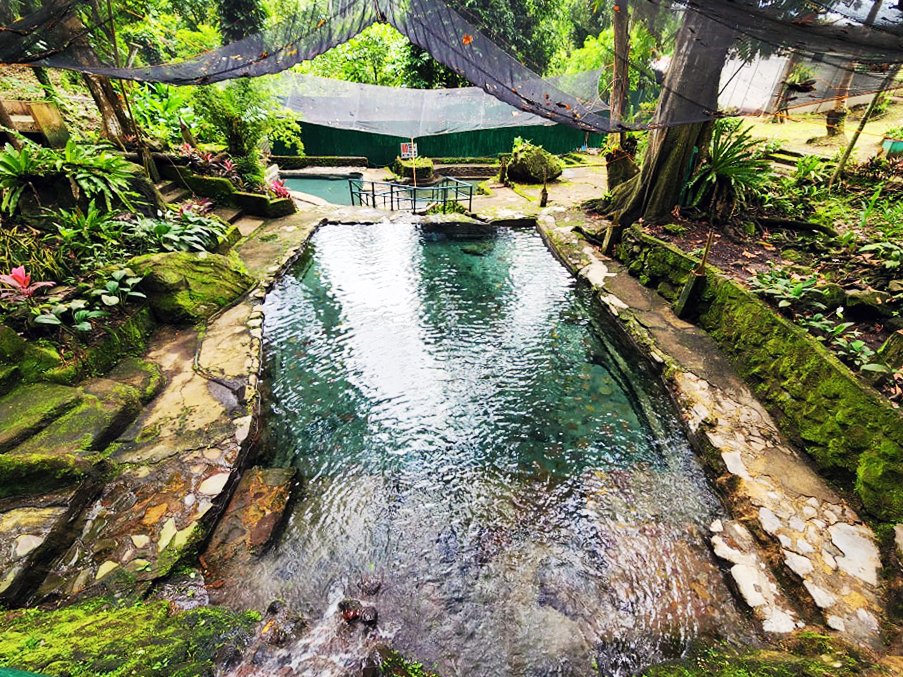 Ardent Hot Springs